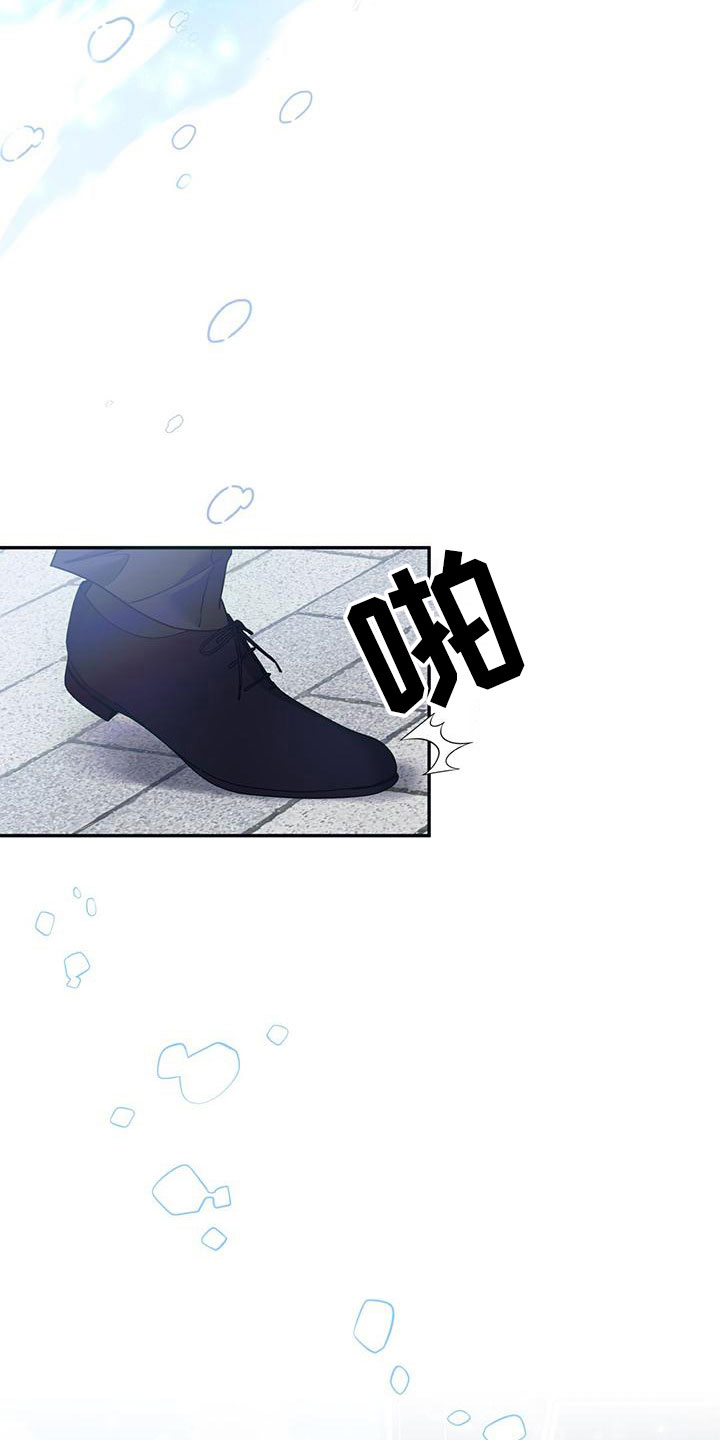 怦然心动英文漫画,第2章：从天而降1图