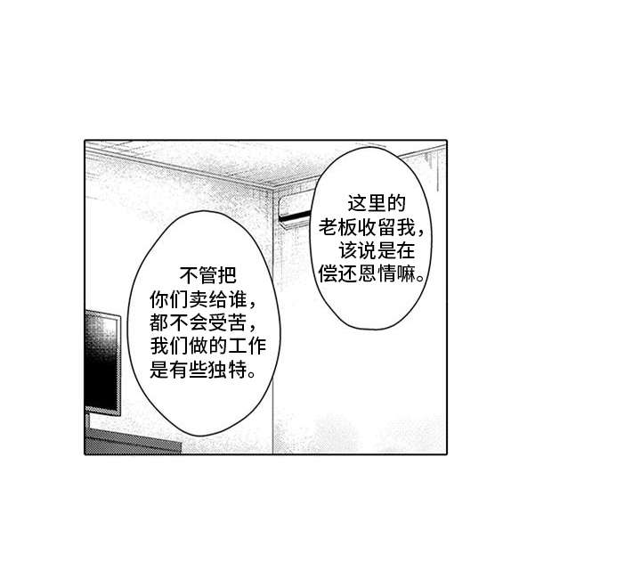 煮熟的栗子怎么剥皮最简单漫画,第1章：商品1图