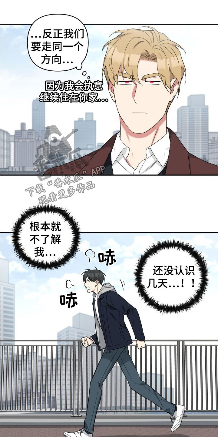 倒霉的棕熊乔伊漫画,第14章：倒霉1图