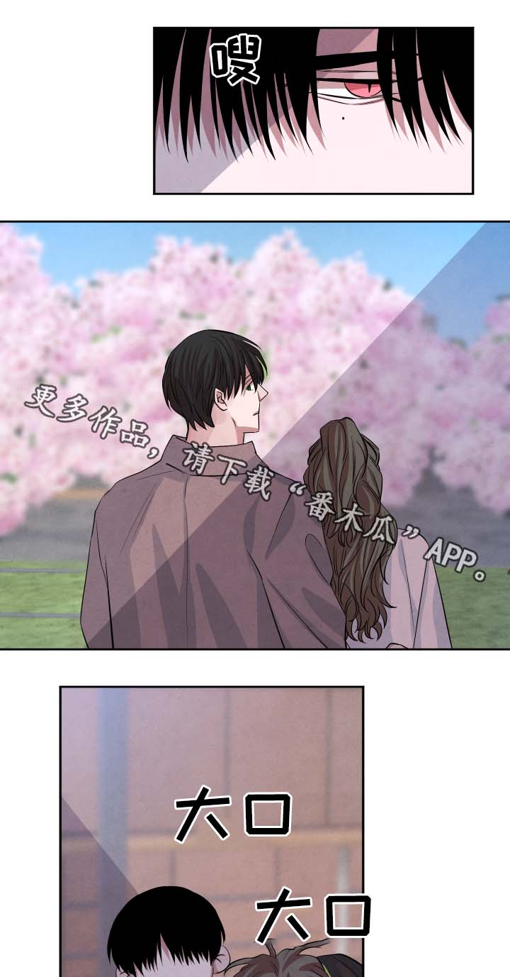 蒂普提感官之水香水什么味道漫画,第39章：樱花2图