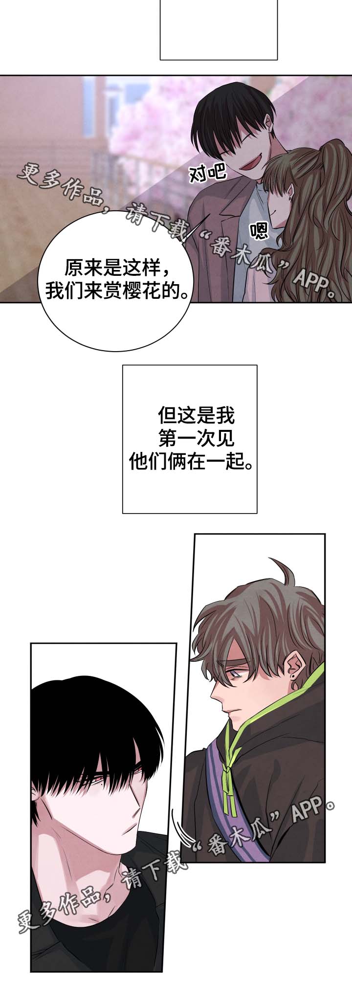 蒂普提感官之水香水什么味道漫画,第39章：樱花1图