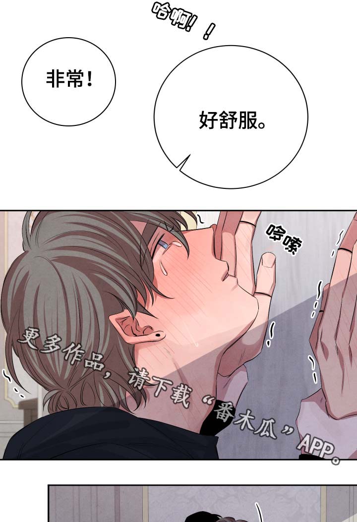 感官味觉瓶漫画,第37章：不怕受伤1图