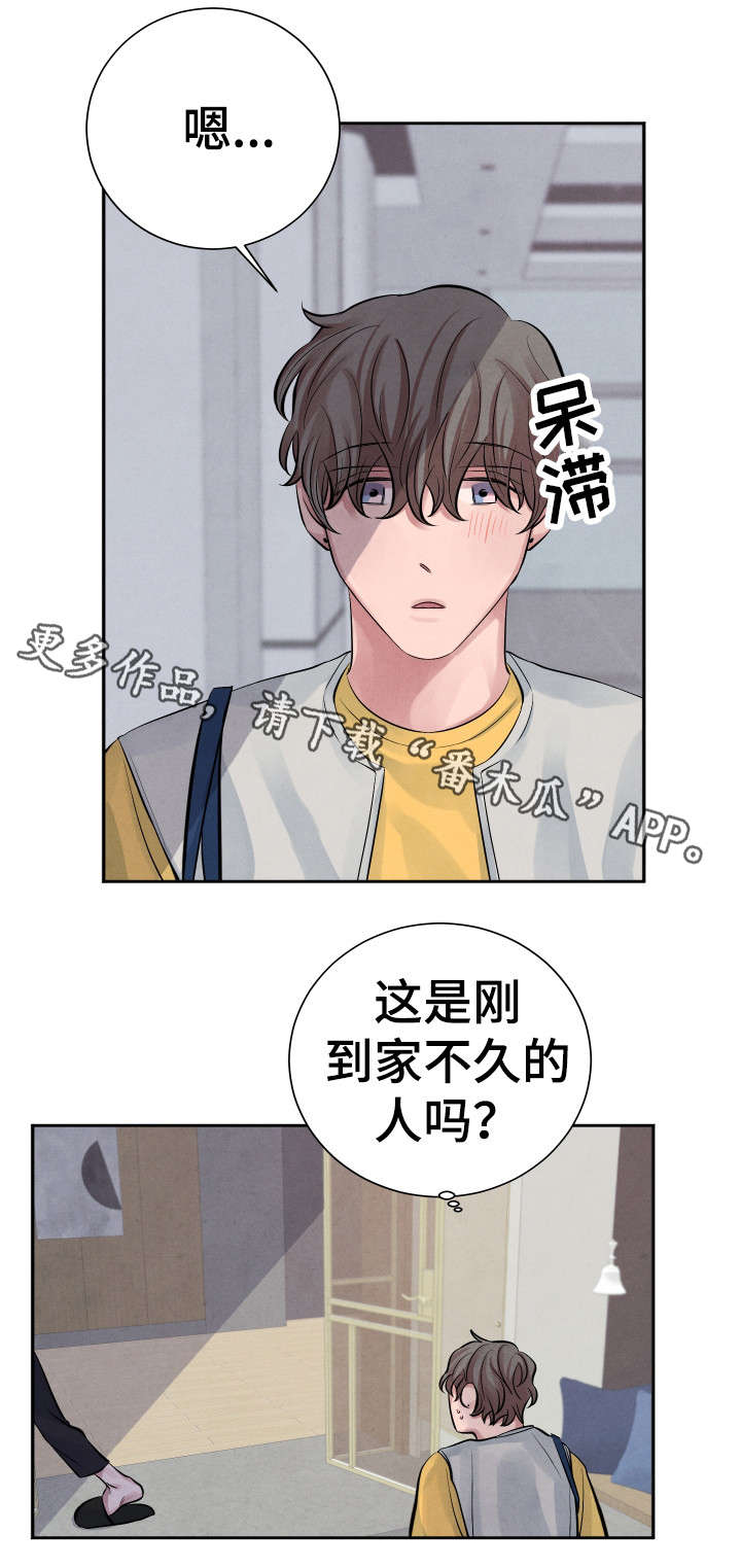 感官四季洗衣凝珠哪个味道好闻漫画,第12章：死灰复燃2图