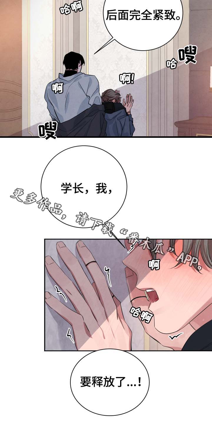 感官检验的基本味道是指漫画,第37章：不怕受伤2图