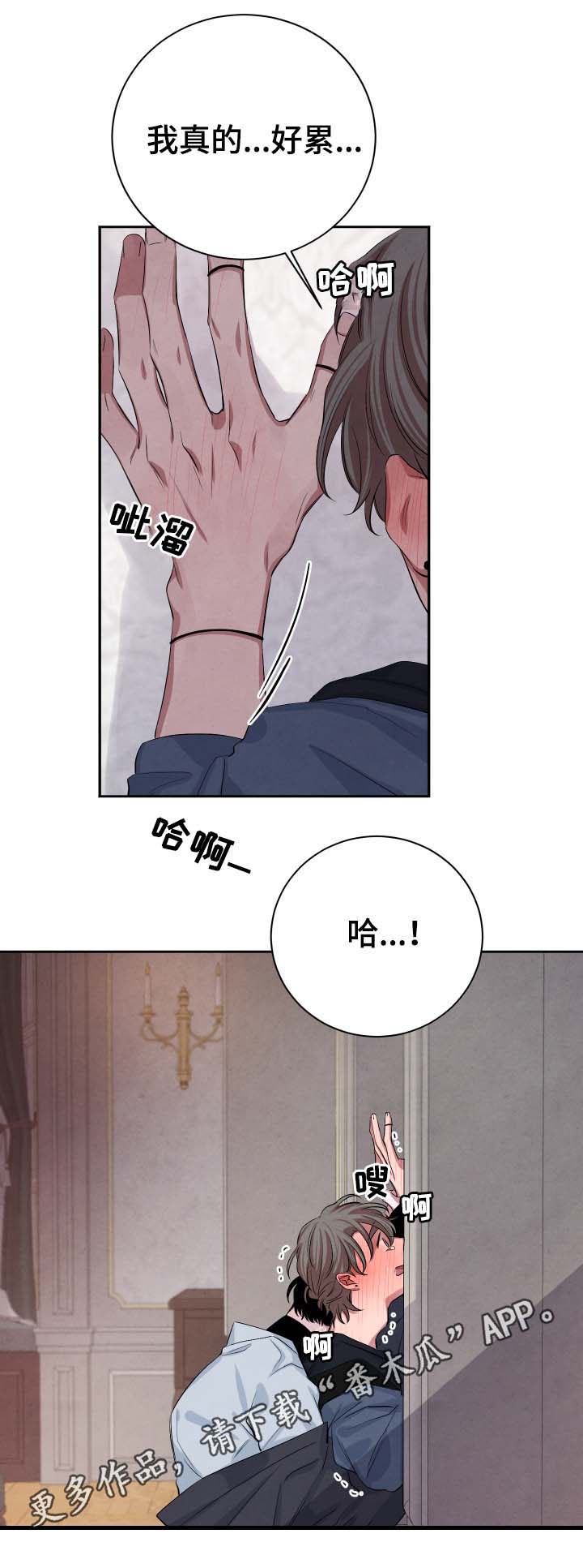 感官的味道漫画漫画,第37章：不怕受伤1图