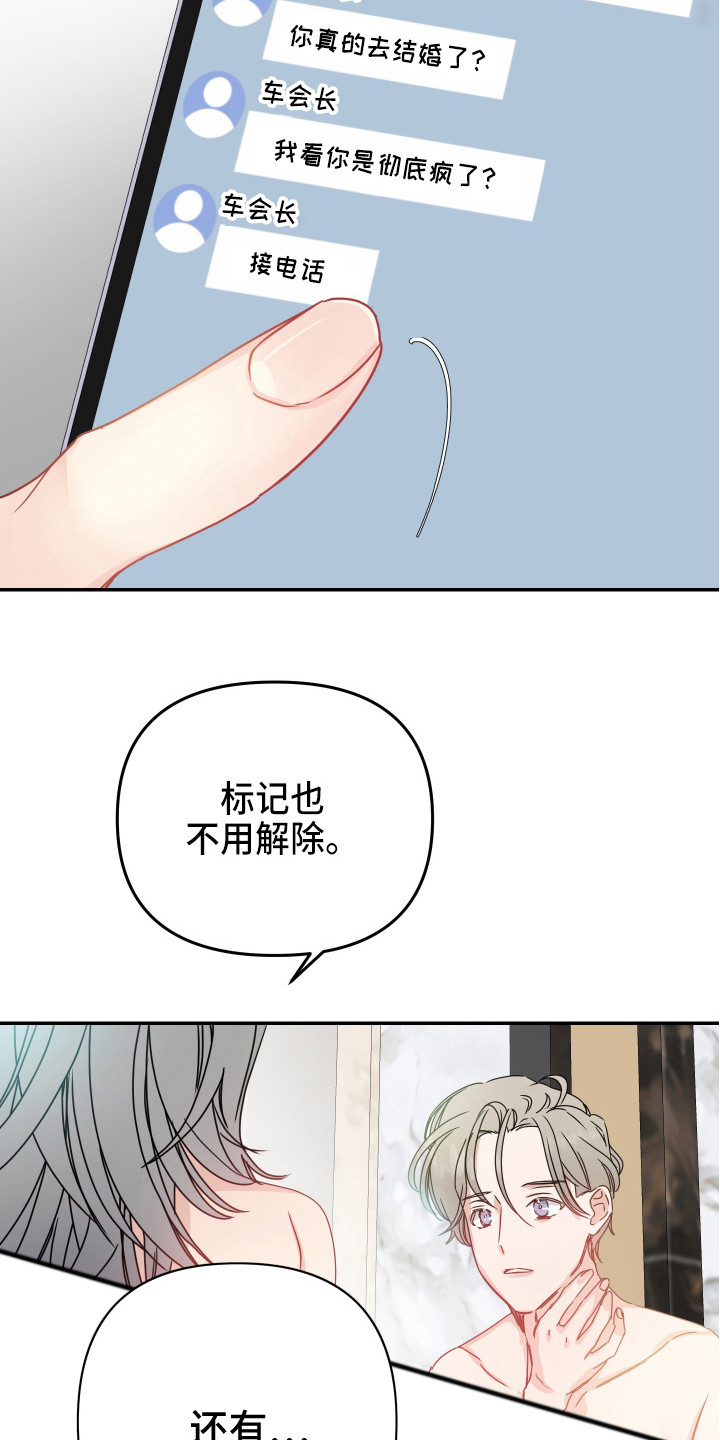 女性阿尔法和男性阿尔法的区别漫画,第11章：安排2图