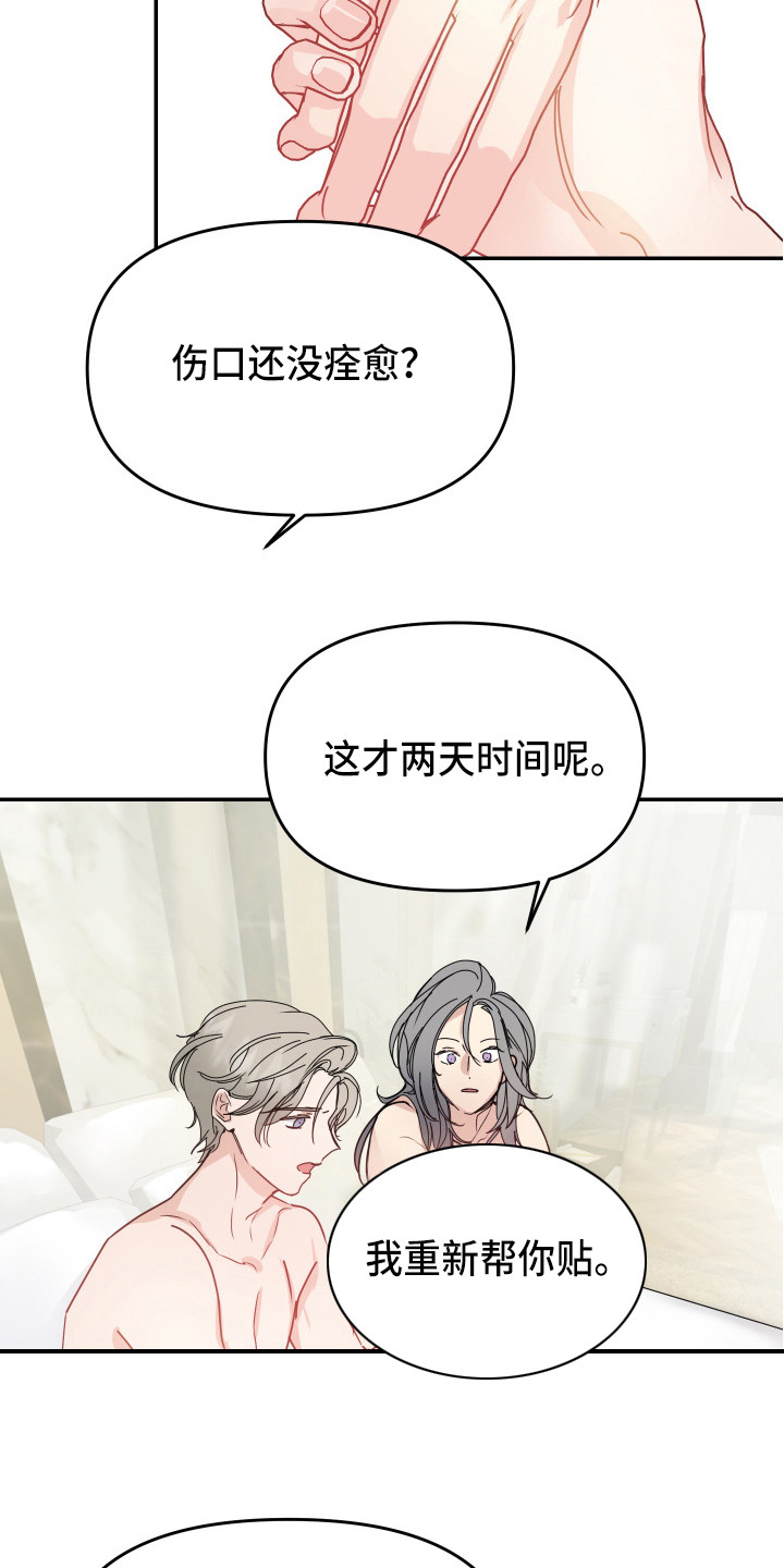 女性阿尔法和男性欧米伽谁会怀孕漫画,第11章：安排1图