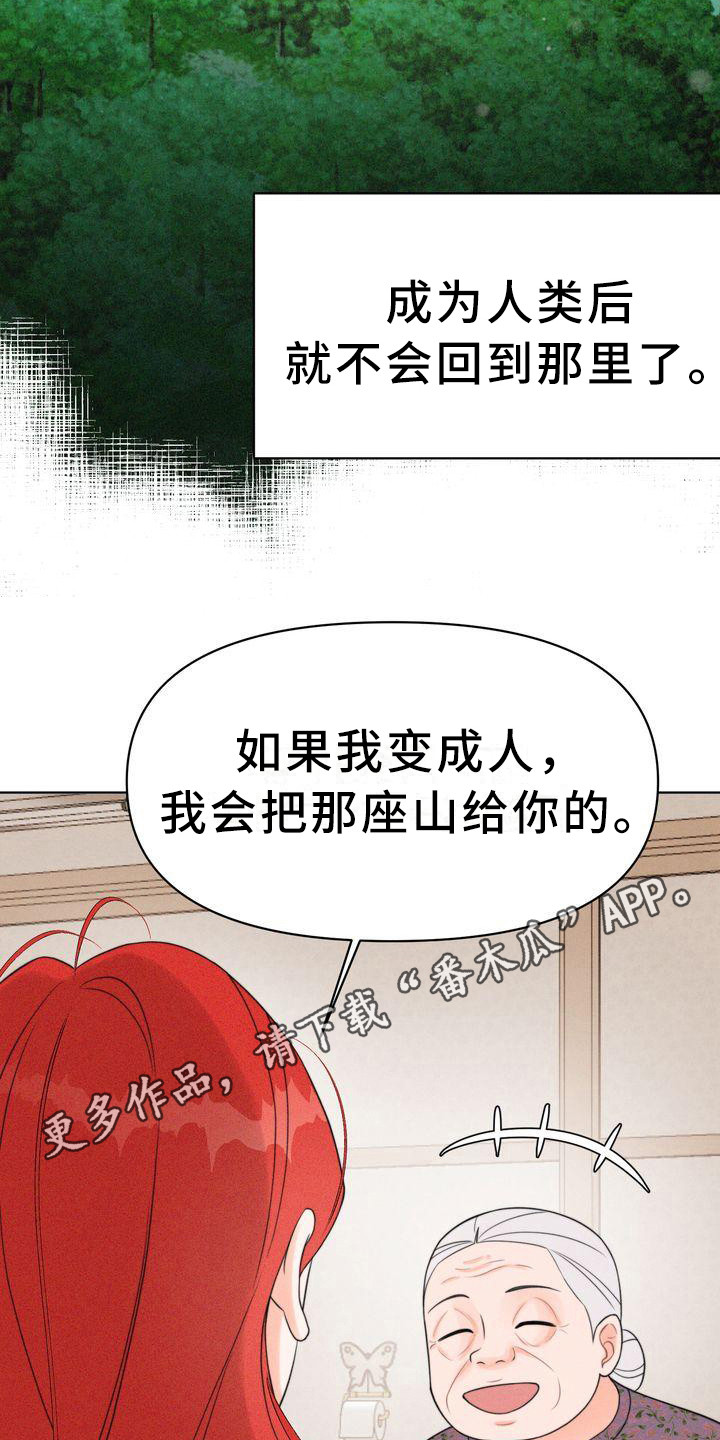 红狐狸动漫西瓜视频漫画,第16章：小请求1图