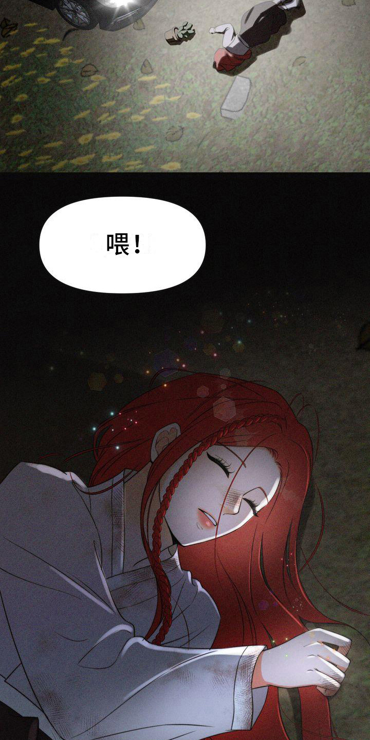 红狐行动电视剧全集看漫画,第7章：偶遇2图