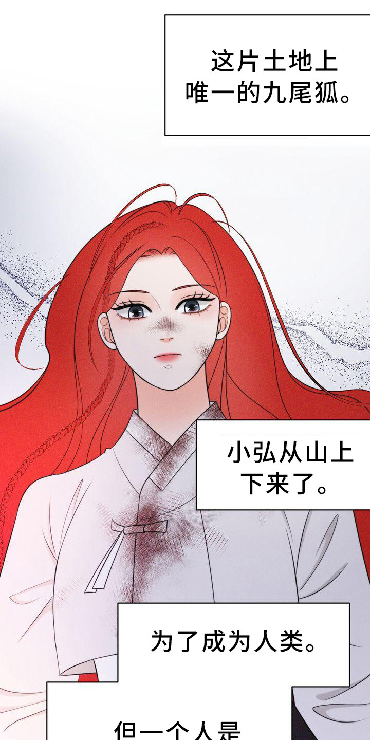 红狐小红娘电视剧免费观漫画,第14章：有主意了1图