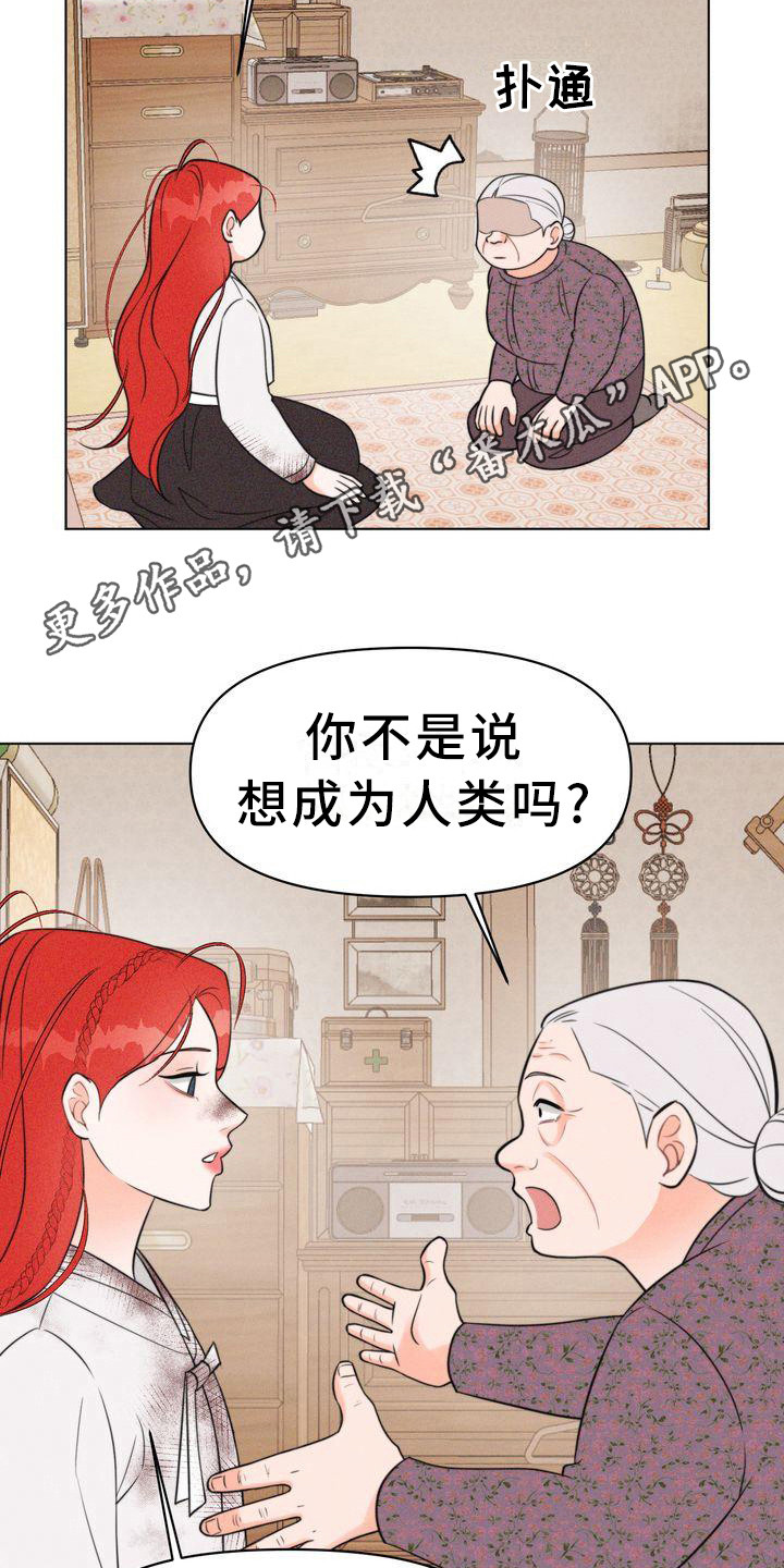 红狐漫画,第15章：怂恿1图