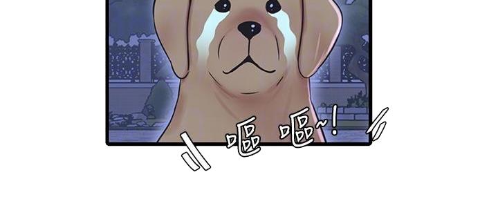 亲家四姐妹漫画,第136话2图