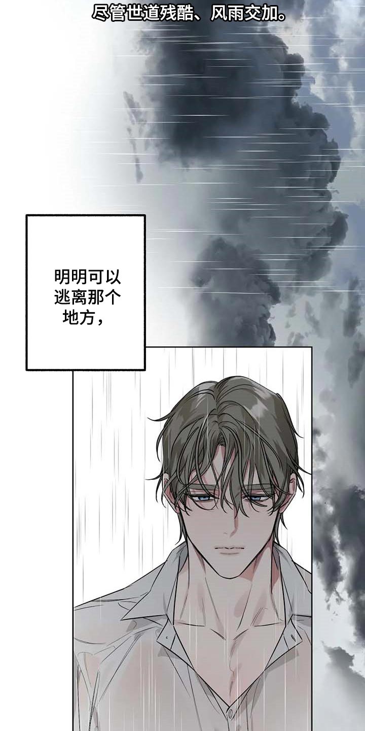 不同的顺序漫画,第67章：【第二季】站在雨中2图