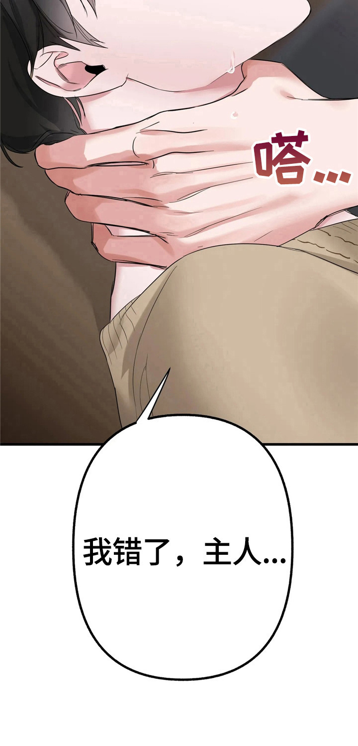不同的顺序漫画,第8章：真实的样子1图