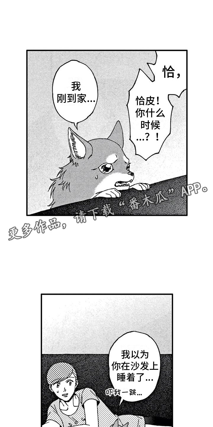 我的小狗作文500字漫画,第19章：非常可爱1图