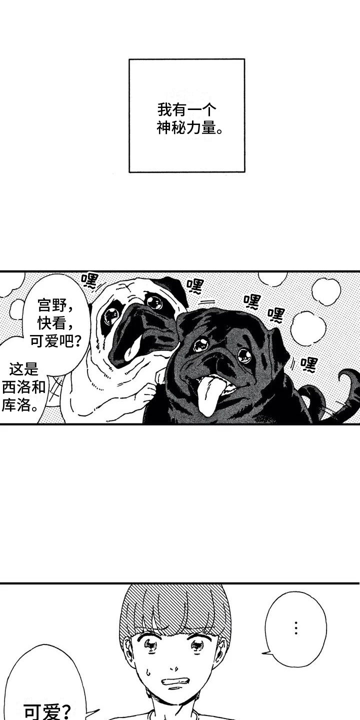 我的小狗漫画,第1章：初遇1图