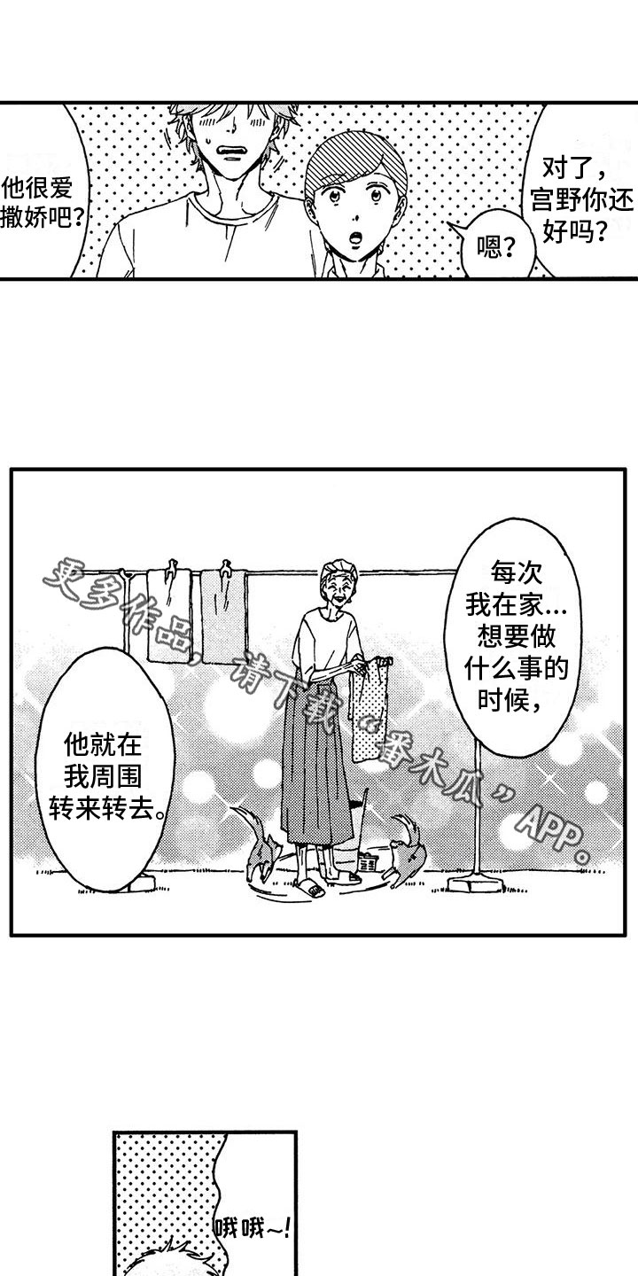 我的小狗漫画,第12章：她知道了？1图