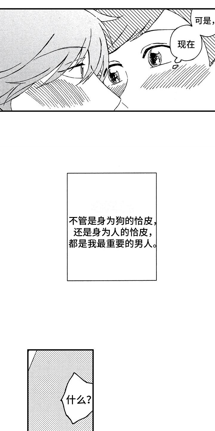 我的小狗主播漫画,第20章：我喜欢你2图