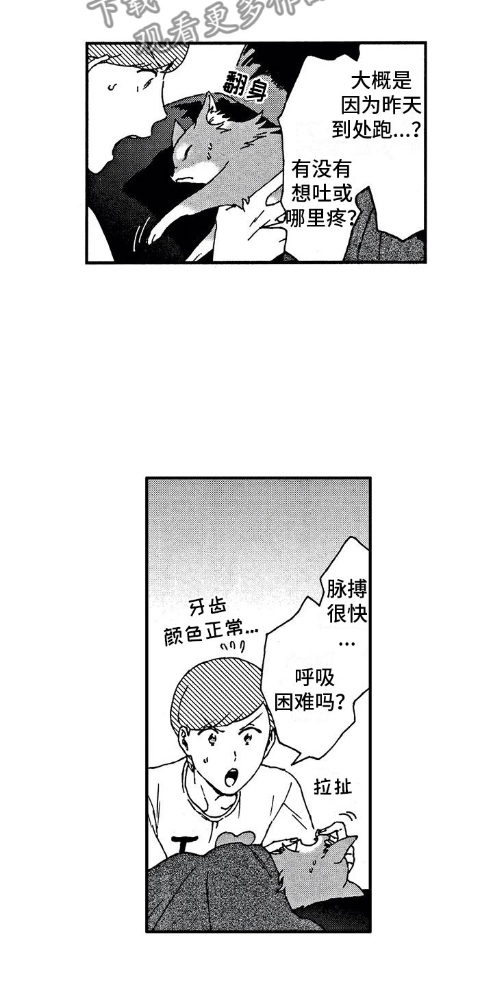 我的小狗漫画,第4章：发烧了1图