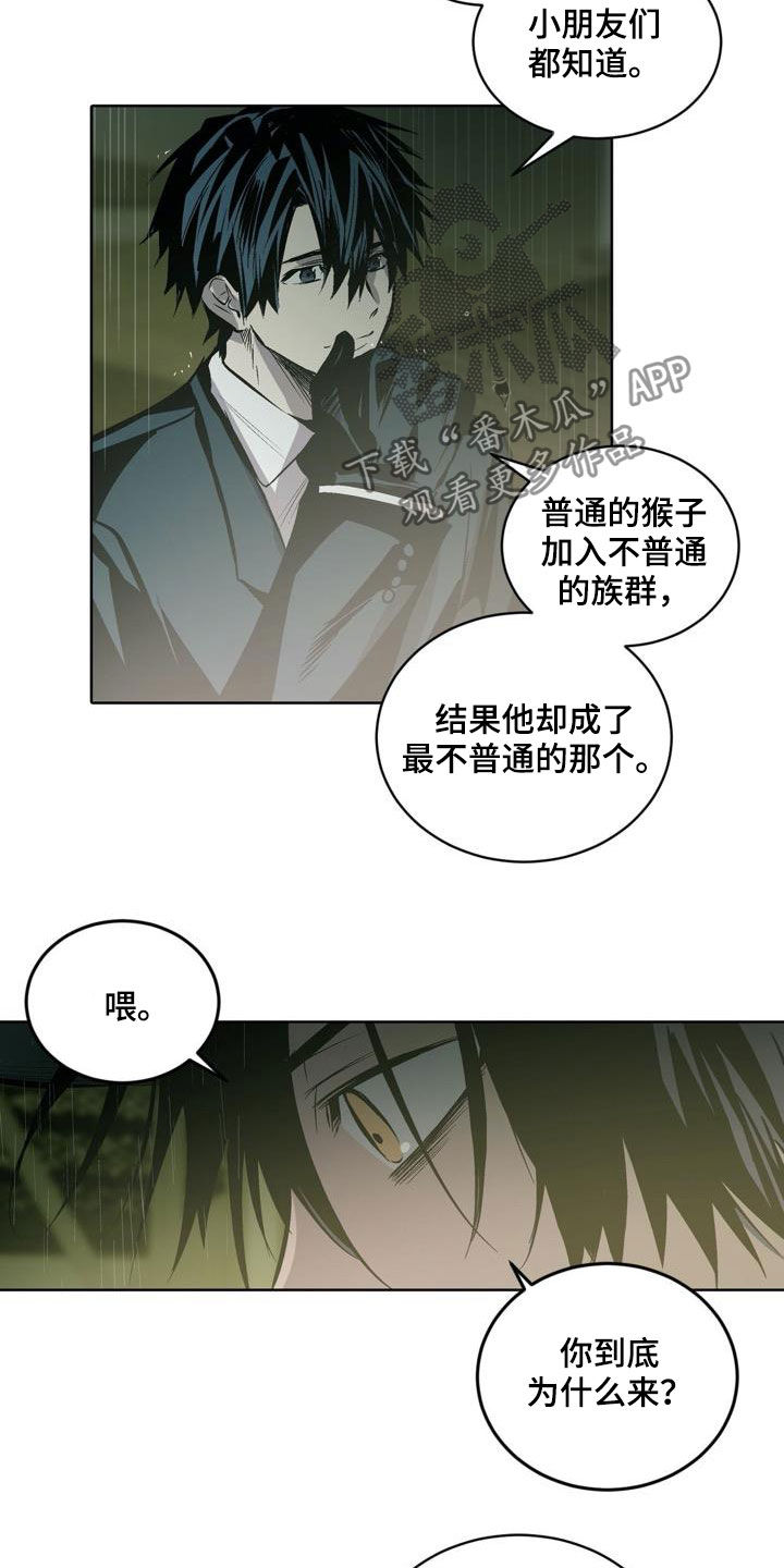 小桃与小爱的作者是谁漫画,第106章：【第二季】猴子的故事1图