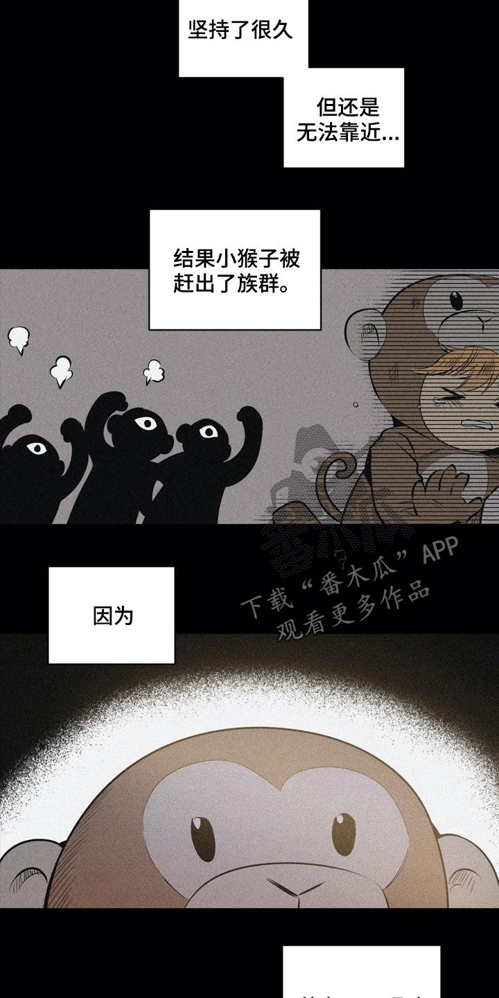 小桃爱小熊漫画,第106章：【第二季】猴子的故事1图