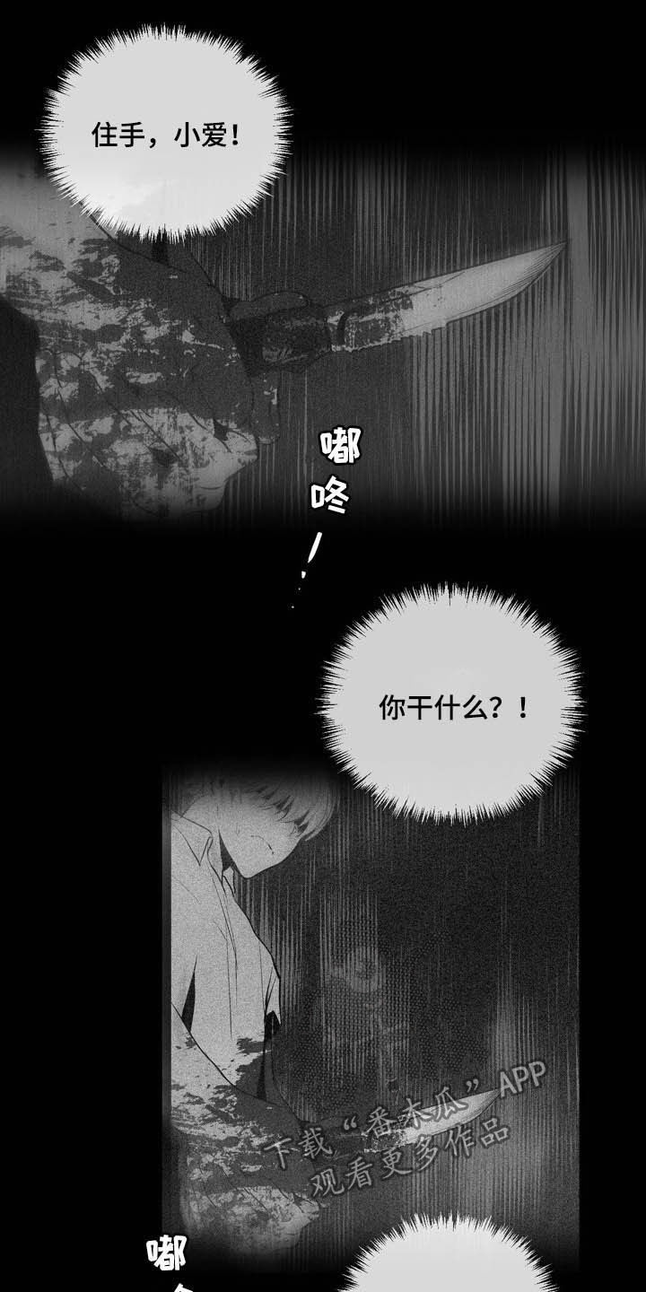 小桃源李白漫画,第64章：你是间谍吗2图