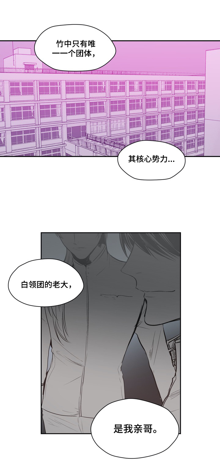 小桃与小爱人物介绍漫画,第51章：局势分析1图