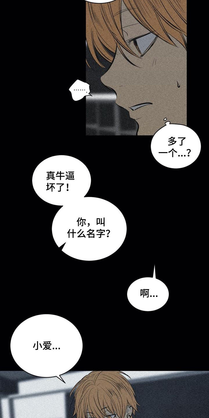 小桃与小爱漫画,第102章：【第二季】权利关系1图