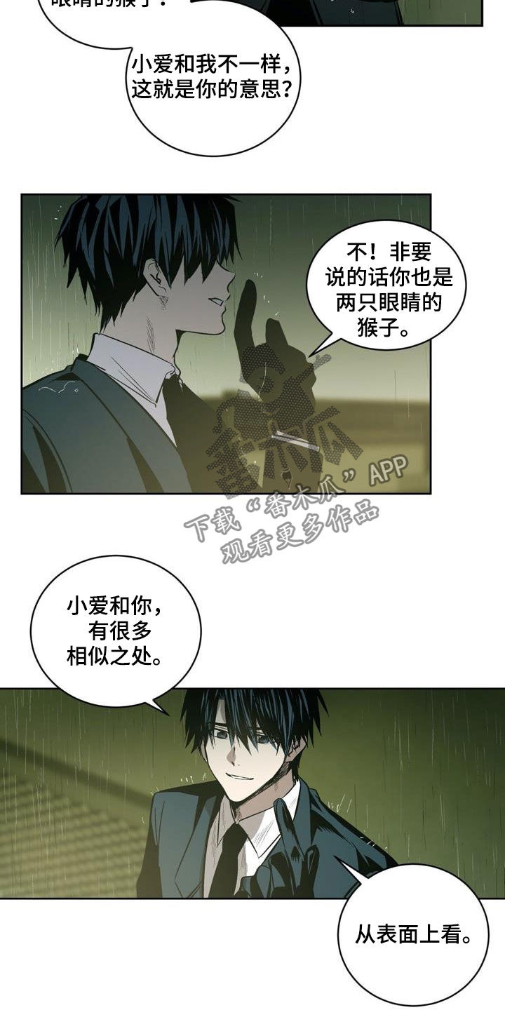 小桃与小爱的作者是谁漫画,第106章：【第二季】猴子的故事1图