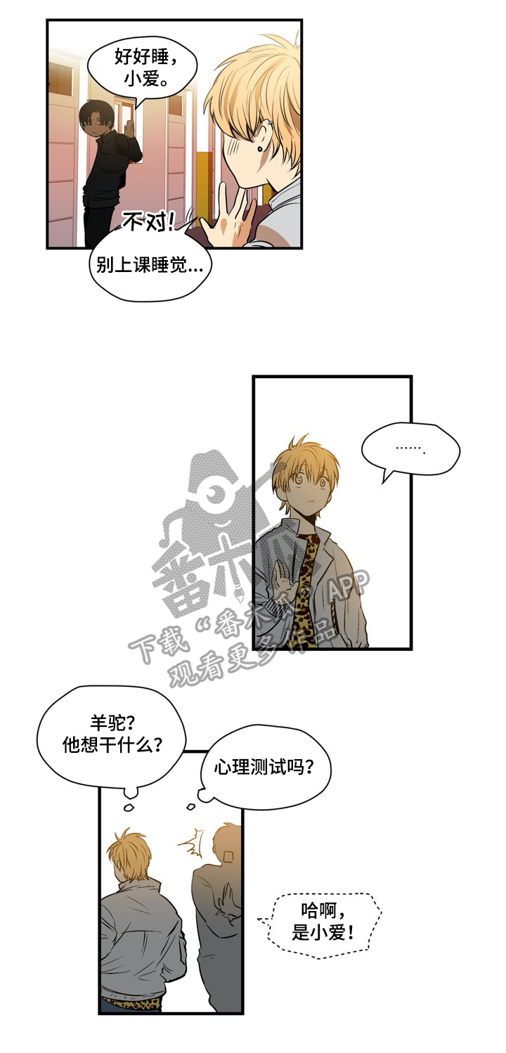 小桃与小爱在哪看漫画,第16章：羊驼2图