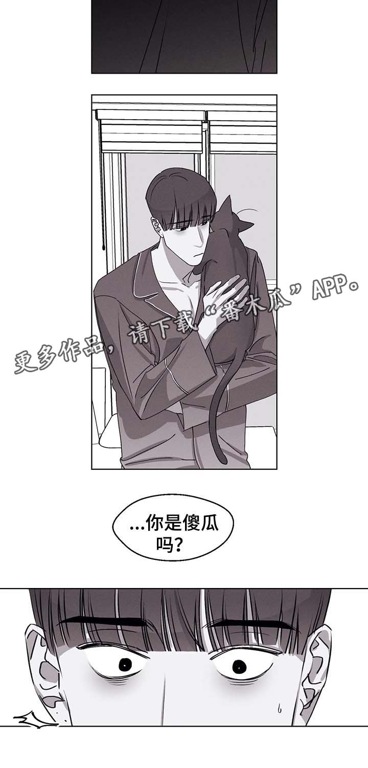 孔雀归来又重逢漫画,第47章：怕被抛弃1图