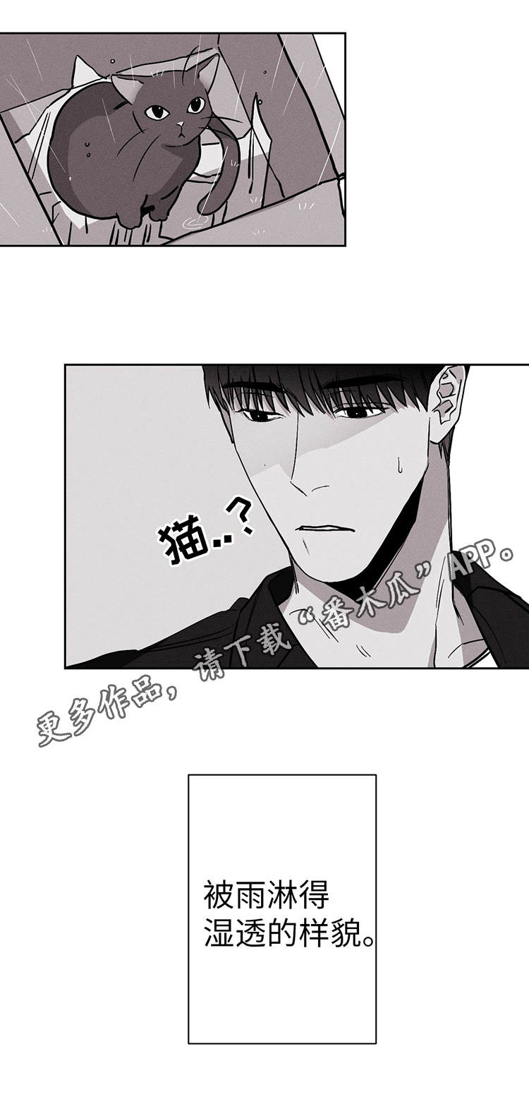 执法重逢归来漫画,第19章：我不哭2图