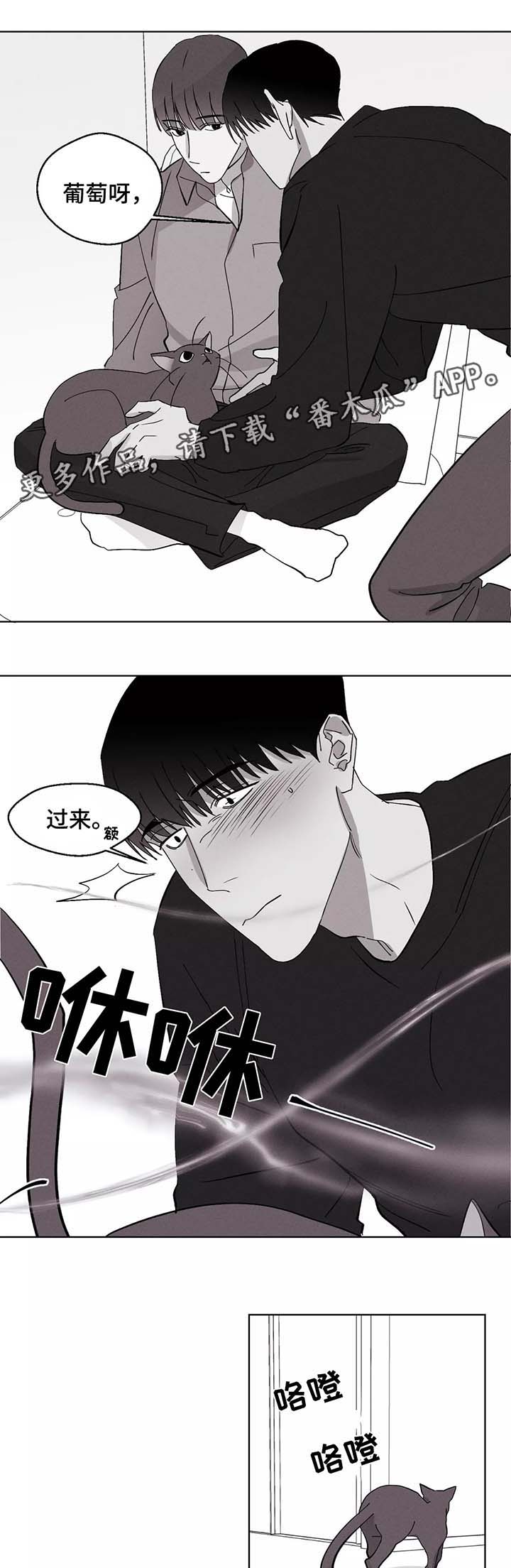 阔别重逢漫画,第38章：恋爱2图