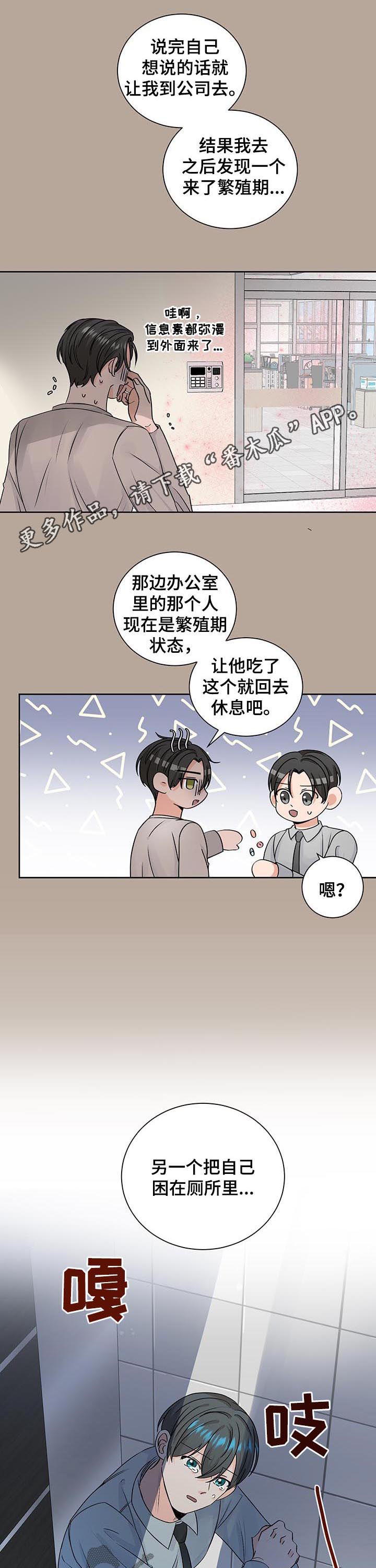 最差的布料是什么布漫画,第80章：真相1图