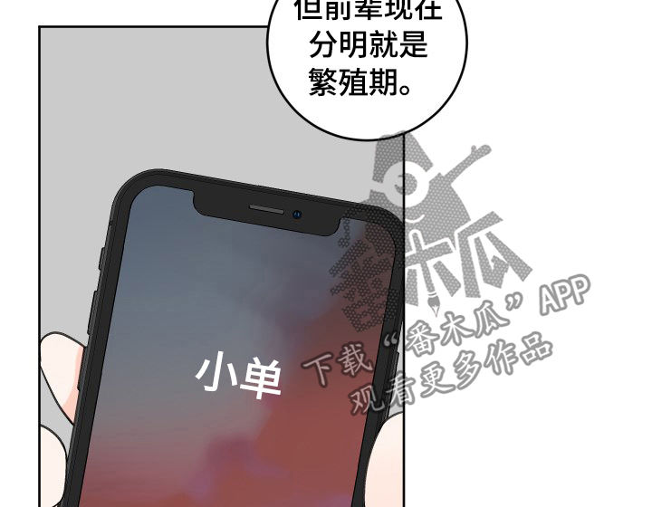 最差的罗纳多漫画,第43章：为什么1图