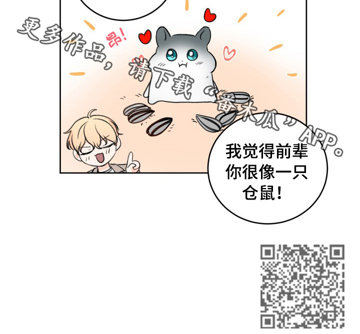 最差的欧米茄漫画,第38章：像仓鼠2图