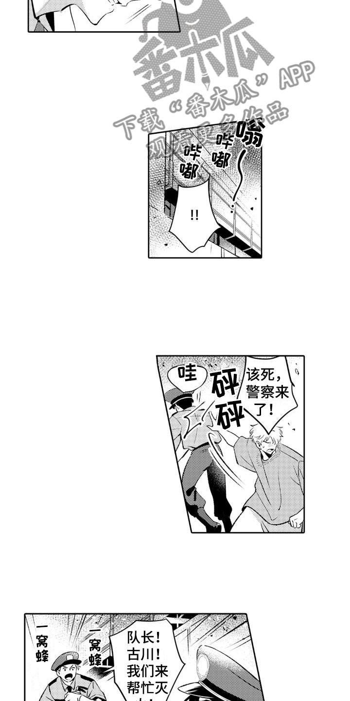 安保丰9号玉米种漫画,第16章：送礼1图