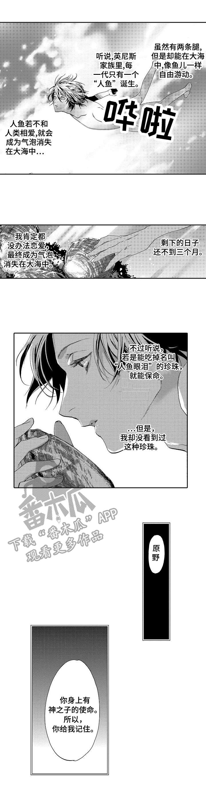 仙海岛的传说漫画,第4章：传说1图