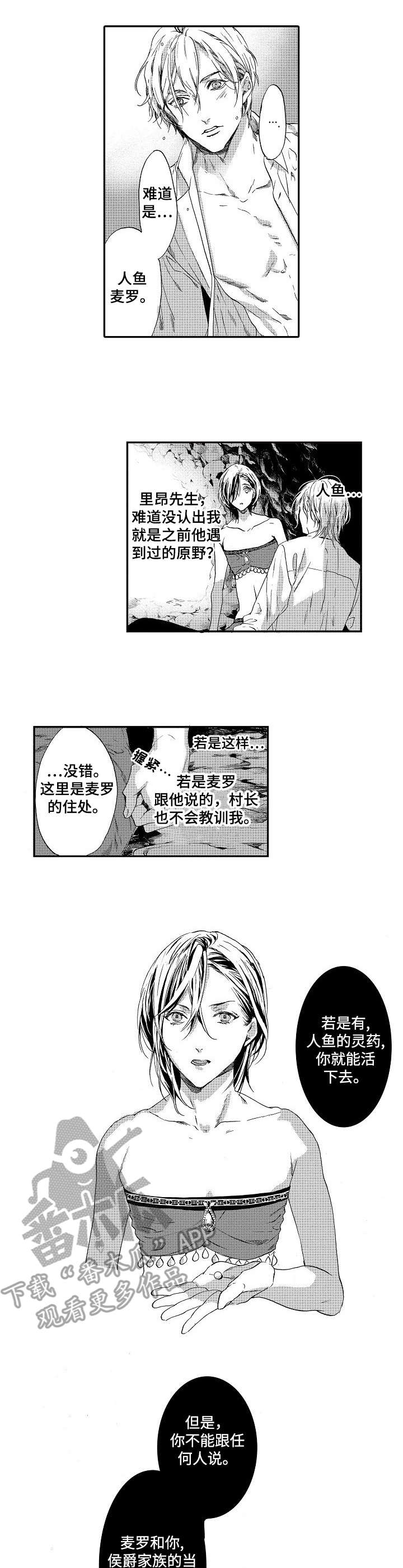 海岛传说困难关卡第三关游戏攻略漫画,第7章：灵药2图