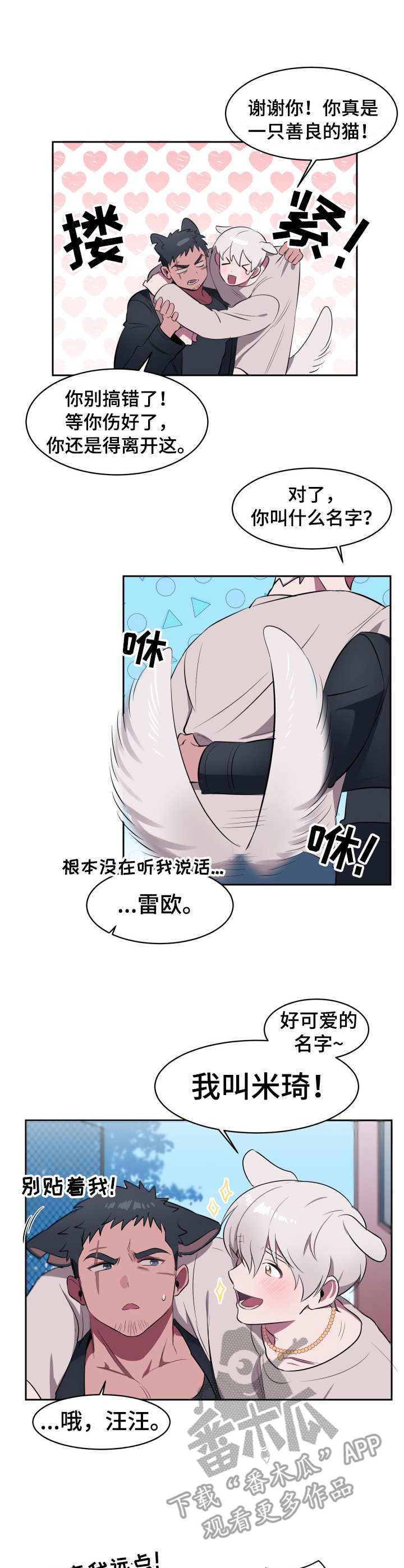 阿旺阿喵漫画,第2章：收留2图