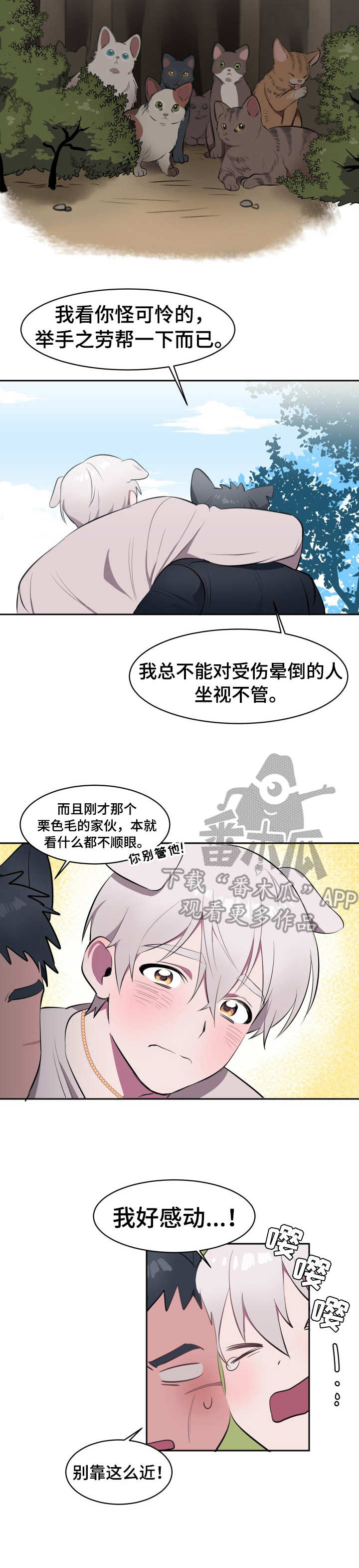 阿旺阿喵漫画,第2章：收留1图