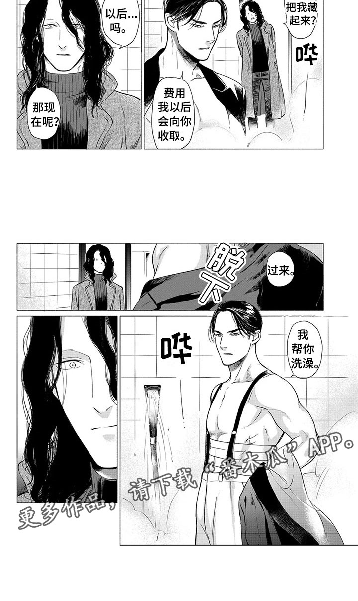 卯时虎和卯时兔漫画,第23章：落脚地1图