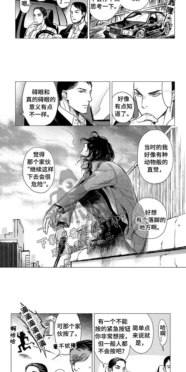 壬寅虎癸卯兔漫画,第18章：坠落1图