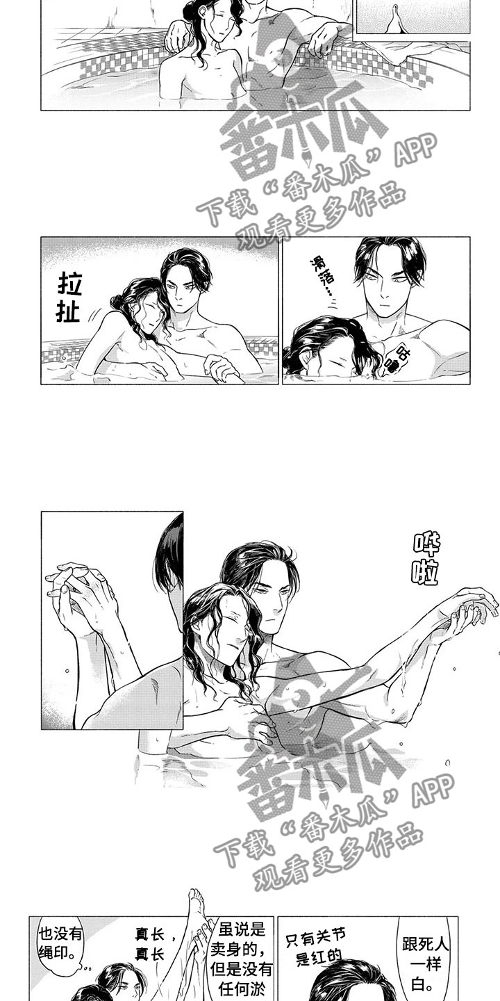 壬寅虎癸卯兔漫画,第21章：番外一2图