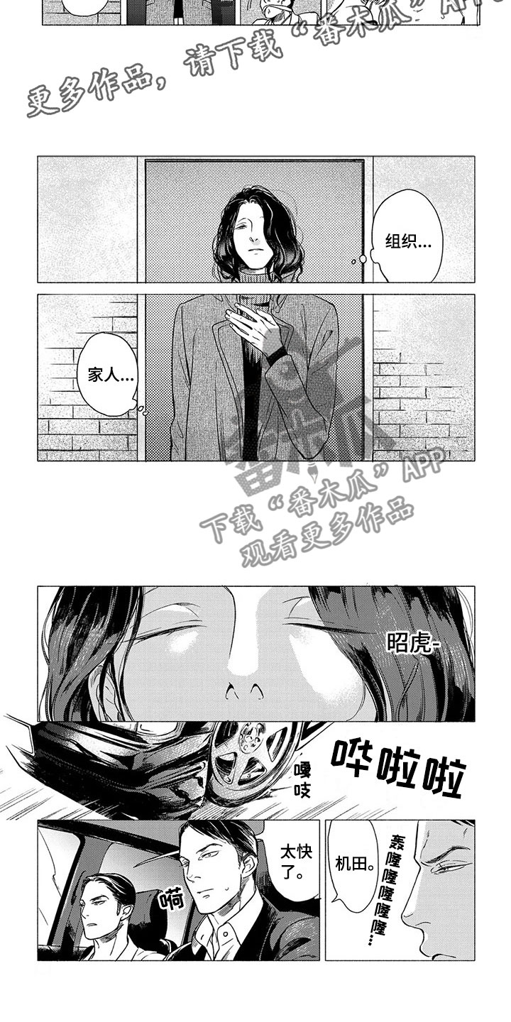 壬寅虎癸卯兔漫画,第18章：坠落2图