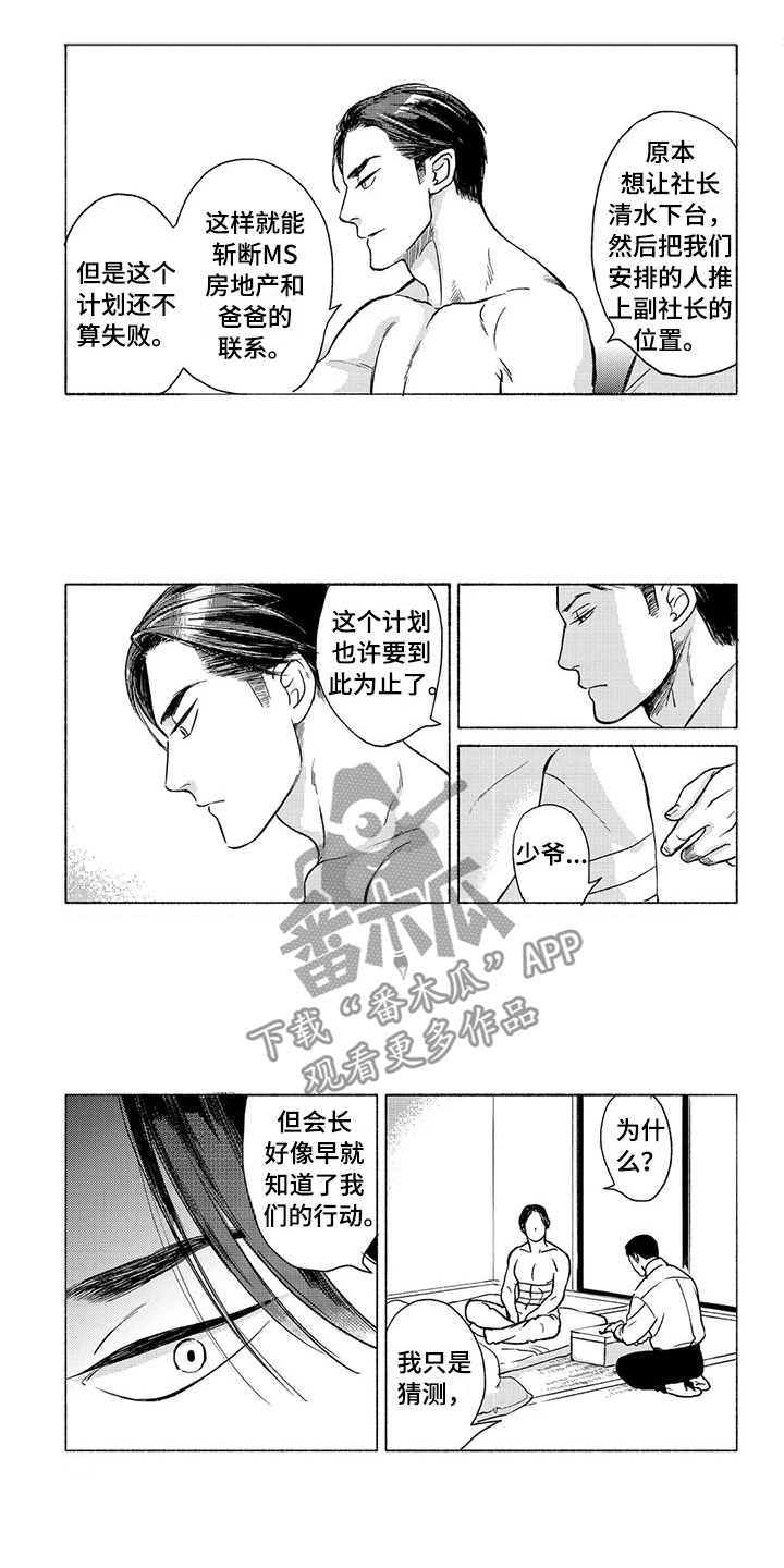 卯兔与寅虎的婚配漫画,第31章：议会2图