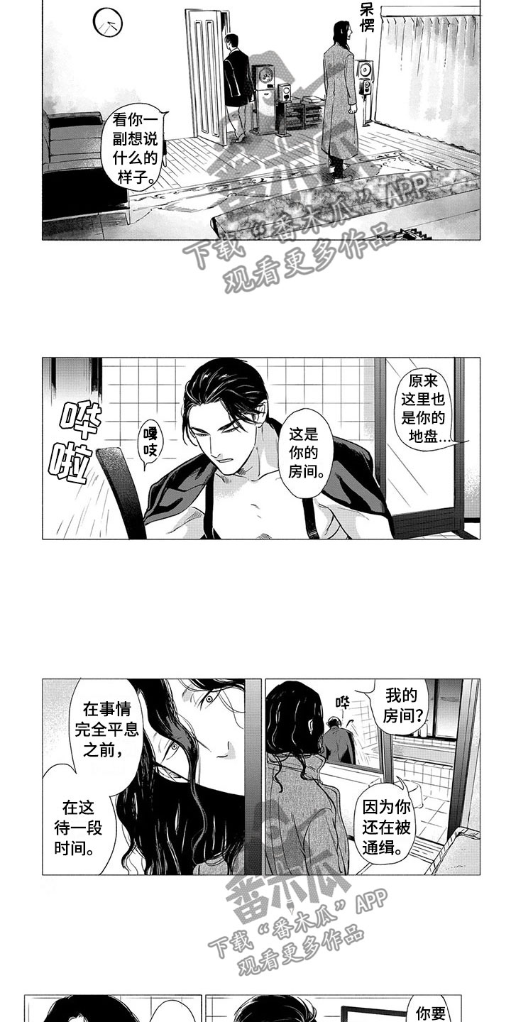 卯时虎和卯时兔漫画,第23章：落脚地2图