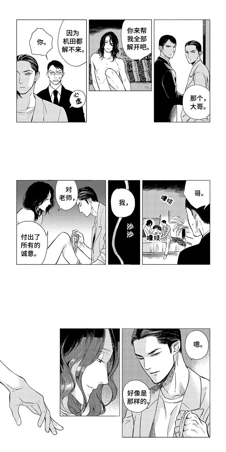 虎与兔和蛇相冲吗漫画,第3章：逻辑2图