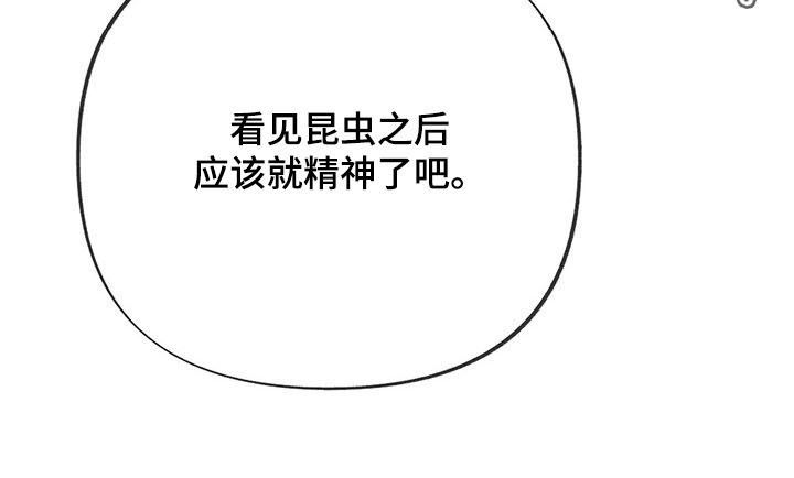 体效应产生原理漫画,第53章：实地实习2图