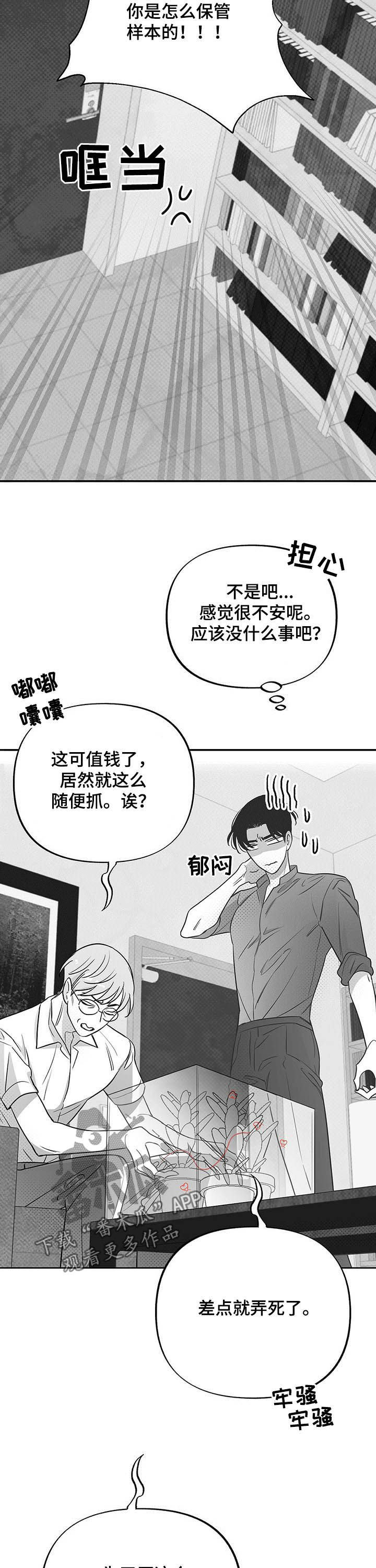 身体发冷什么原因漫画,第37章：抓虫1图